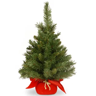 National Tree Company 24" Majestic Fir Tree in Red Cloth Bag