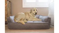 Arlee Memory Foam Sofa and Couch Style Pet Bed