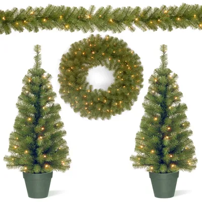 National Tree 3ft Entrance Tree Assortment with Battery Operated Led Lights