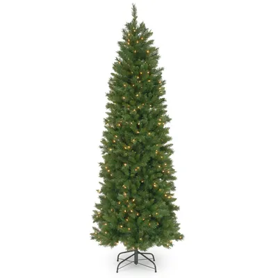 National Tree 7.5' Pennington Fir Hinged Pencil Tree with 350 Clear Lights