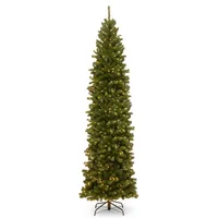 National Tree 10' North Valley Spruce Pencil Slim Tree with Clear Lights