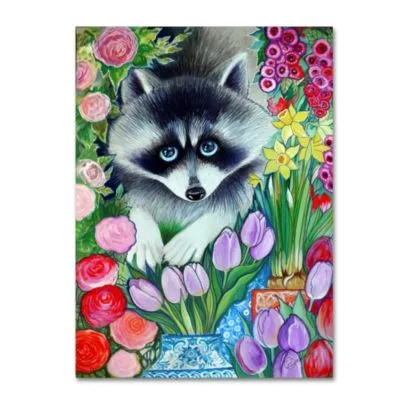 Oxana Ziaka Raccoon Canvas Art Collection