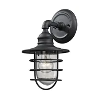 Vandon 1 Light Outdoor Wall Sconce in Charcoal