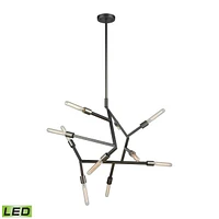 Freeform 10 Light Chandelier in Aged Black Nickel