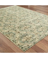 Oriental Weavers Raleigh 4927 7'10" x 10'10" Area Rug