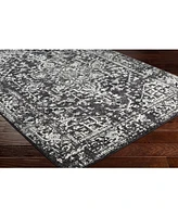 Livabliss Harput Hap-1087 Black 3'11" x 5'7" Area Rug