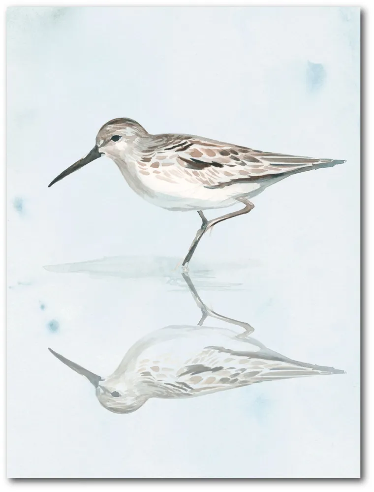 Courtside Market Sandpiper Reflections Ii Gallery-Wrapped Canvas Wall Art - 18" x 24"