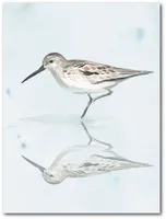 Courtside Market Sandpiper Reflections Ii Gallery-Wrapped Canvas Wall Art - 18" x 24"