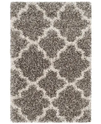 Safavieh Hudson SGH282 2' x 3' Area Rug