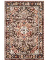 Safavieh Bijar BIJ648 Brown and Rust 4' x 6' Area Rug