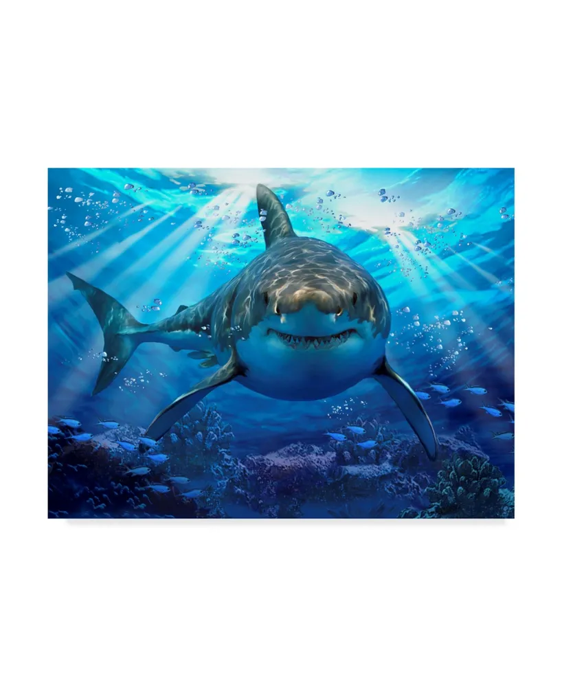 Howard Robinson 'Stalking Shark' Canvas Art