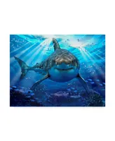 Howard Robinson 'Stalking Shark' Canvas Art