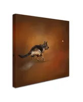 Jai Johnson 'Gimme That Ball German Shepherd' Canvas Art - 24" x 24" x 2"