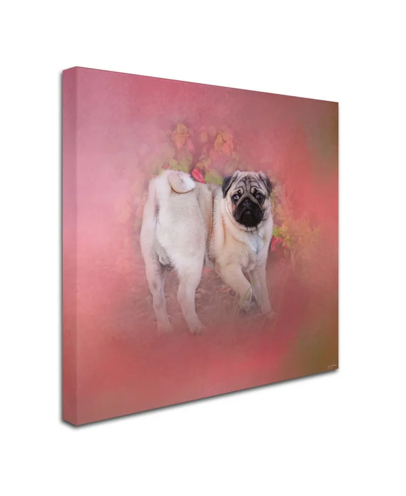 Jai Johnson 'Pug In The Garden' Canvas Art - 18" x 18" x 2"