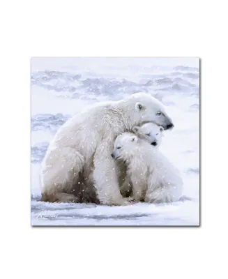 The Macneil Studio 'Polar Bear Cubs' Canvas Art - 35" x 35" x 2"