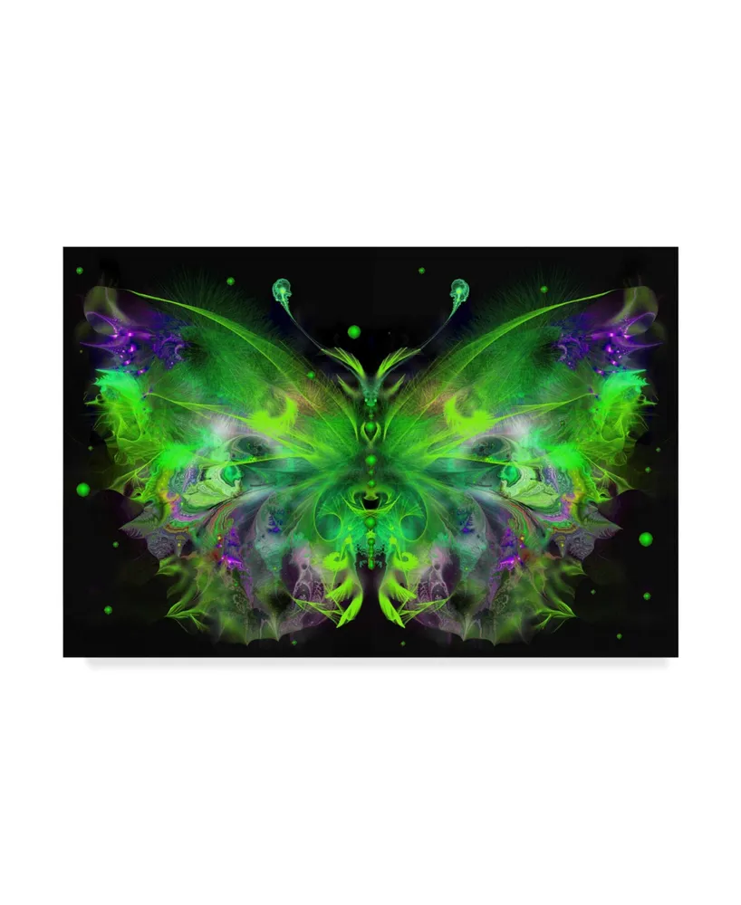 Runa 'Butterfly 5' Canvas Art - 19" x 12" x 2"