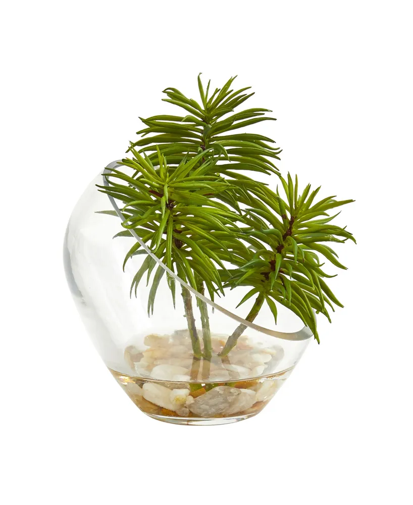 Nearly Natural Succulent Artificial Plant in Slanted Glass Vase (Set of 2)
