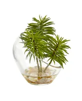 Nearly Natural Succulent Artificial Plant in Slanted Glass Vase (Set of 2)