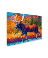 Marion Rose 'Moose Encounter' Canvas Art - 24" x 18" x 2"