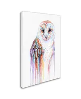 Michelle Faber 'Barred Rainbow Owl' Canvas Art - 19" x 12" x 2"