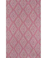 Lake Palace Rajastan Weekend Indoor Outdoor Area Rug