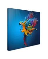 Sulaiman Almawash 'Flying Colours' Canvas Art - 14" x 14" x 2"