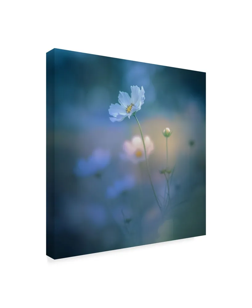 Miyako Koumura 'White Shadow' Canvas Art - 24" x 24" x 2"