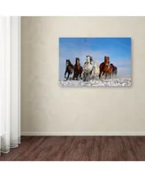 Libby Zhang 'Mongolia Horses' Canvas Art - 19" x 12" x 2"