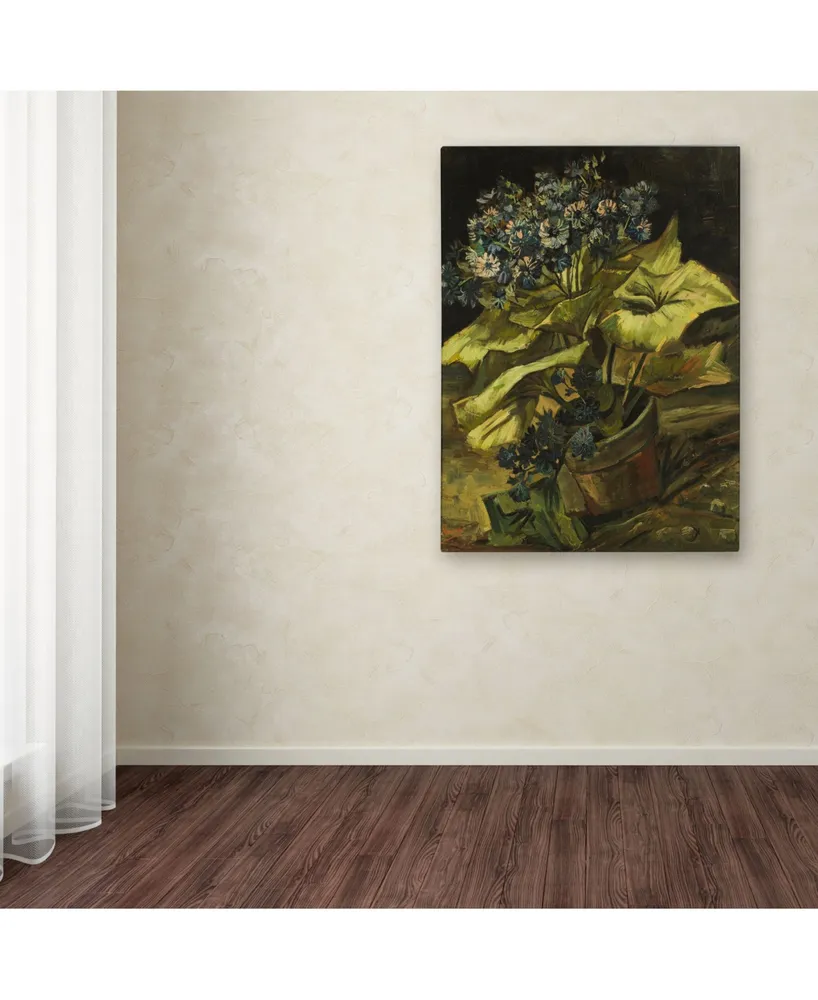 Van Gogh 'Cineraria' Canvas Art - 24" x 18" x 2"