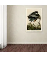 John James Audobon 'Great Blue Heron' Canvas Art - 32" x 22" x 2"