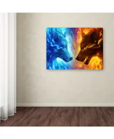 JoJoesArt 'Fire and Ice' Canvas Art - 19" x 14" x 2"