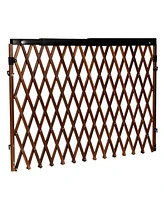 Evenflo Expansion Walk Thru Room Divider Baby Gate