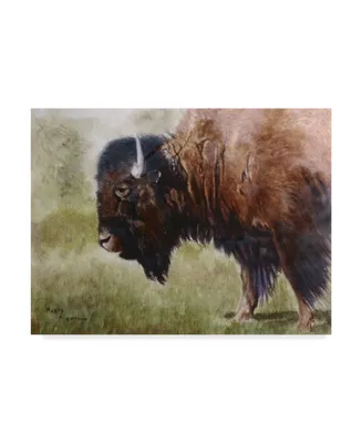 Rusty Frentner 'Buffalo' Canvas Art - 18" x 24"