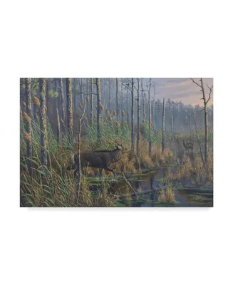 Wilhelm Goebel 'Maryland Sika Deer' Canvas Art - 16" x 24"