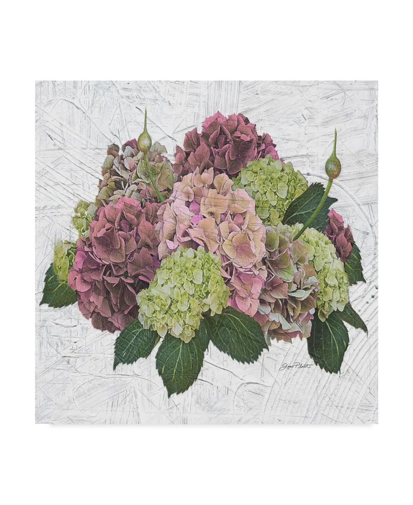 Jean Plout 'Hydrangea Vignette Pink' Canvas Art - 14" x 14"