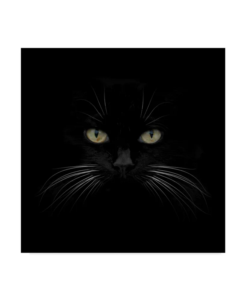 Lori Hutchison 'Black Cat Centered' Canvas Art