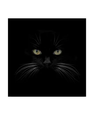 Lori Hutchison 'Black Cat Centered' Canvas Art