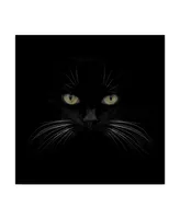 Lori Hutchison 'Black Cat Centered' Canvas Art