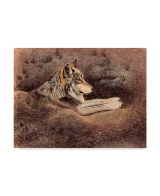 Rusty Frentner 'Mexican Wolf' Canvas Art - 24" x 32"