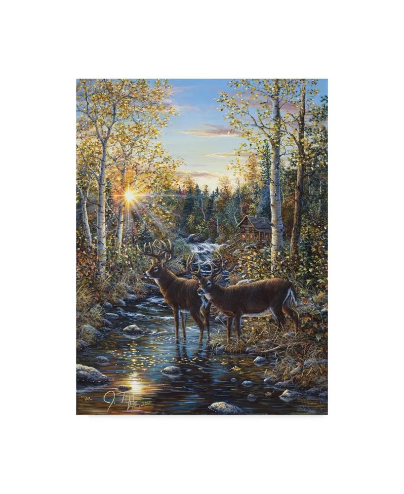 Jeff Tift 'Whitetail Deer' Canvas Art