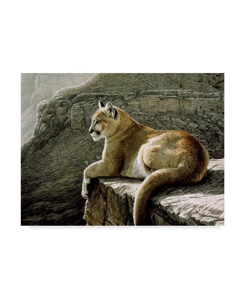 Ron Parker 'Rimrock Cougar' Canvas Art - 14" x 19"