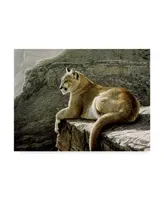 Ron Parker 'Rimrock Cougar' Canvas Art - 14" x 19"