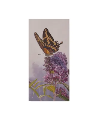 Rusty Frentner 'Giant Swallowtail' Canvas Art - 10" x 19"