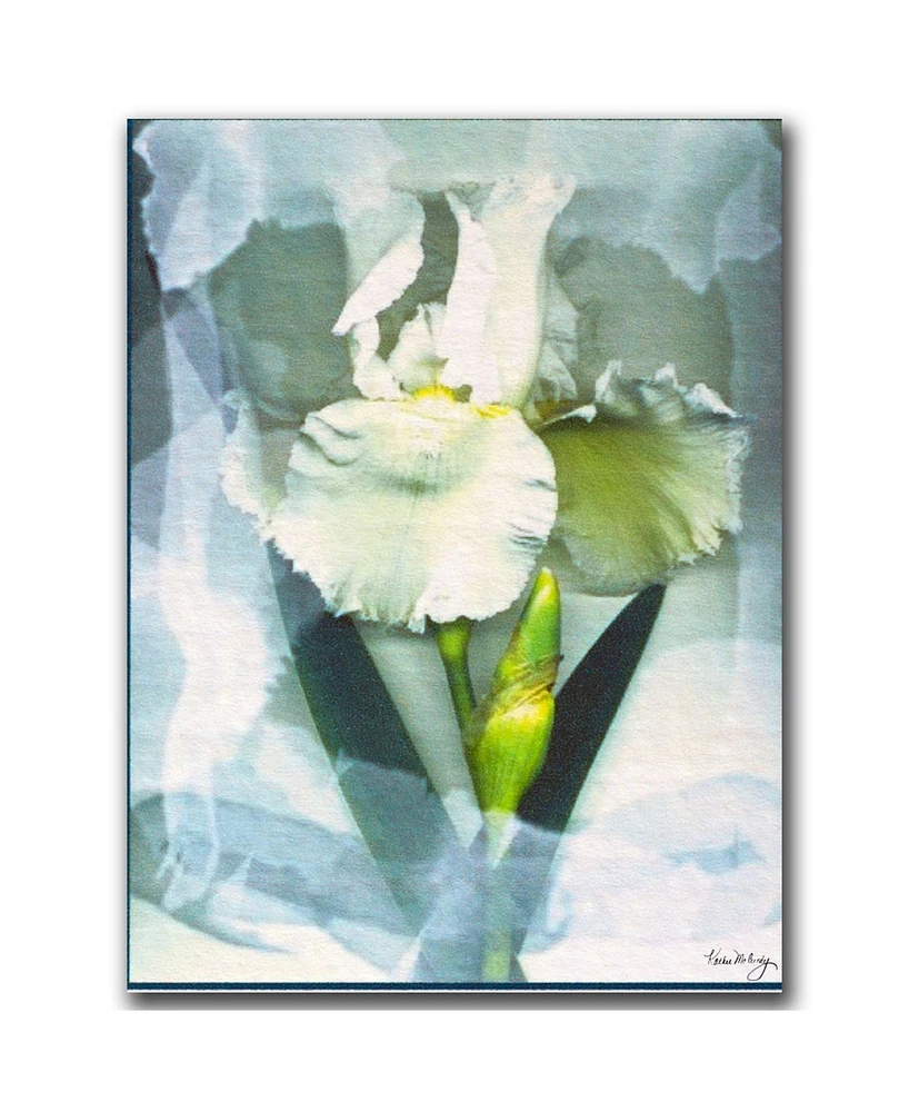Kathie McCurdy 'Sheer White Iris' Canvas Art
