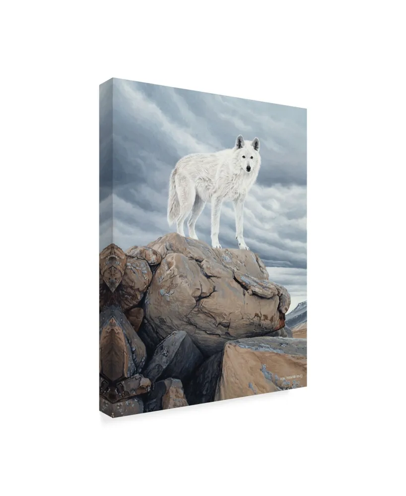 Ron Parker 'White Wolf' Canvas Art - 24" x 32"