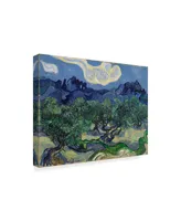 Vincent Van Gogh 'The Olive Trees' Canvas Art - 24" x 18"