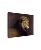 Harro Maass 'Lion Male' Canvas Art - 32" x 24"