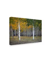 J.d. Mcfarlan 'Dixie Forest, Ut' Canvas Art - 19" x 12"