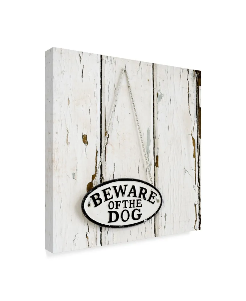 Tom Quartermaine 'Beware Of The Dog Sign On Antique Door' Canvas Art - 14" x 14"