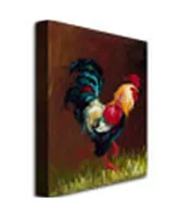 Rio 'Rooster' Canvas Art - 47" x 35"